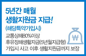 5년간 매월 생활지원금 지급(해당특약가입시) :  교통상해80%이상 후유장애생활자금(5년월지급형) 가입시 사고 이수 생활지원금까지 보장