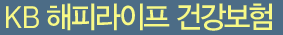 KB해피라이프 건강보험