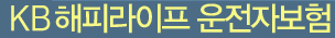 KB해피라이프 운전자보험